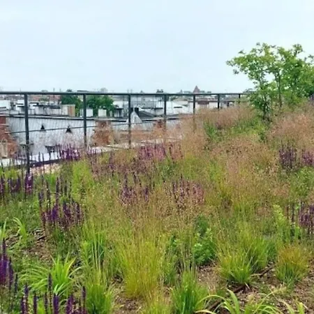 Apartimento Angel River 7 Апартаменты